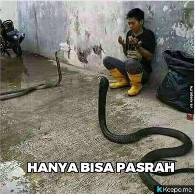 11 Potret Melas Orang-Orang yang Kelewat Pasrah dengan Keadaan. Jatuhnya Malah Kocak