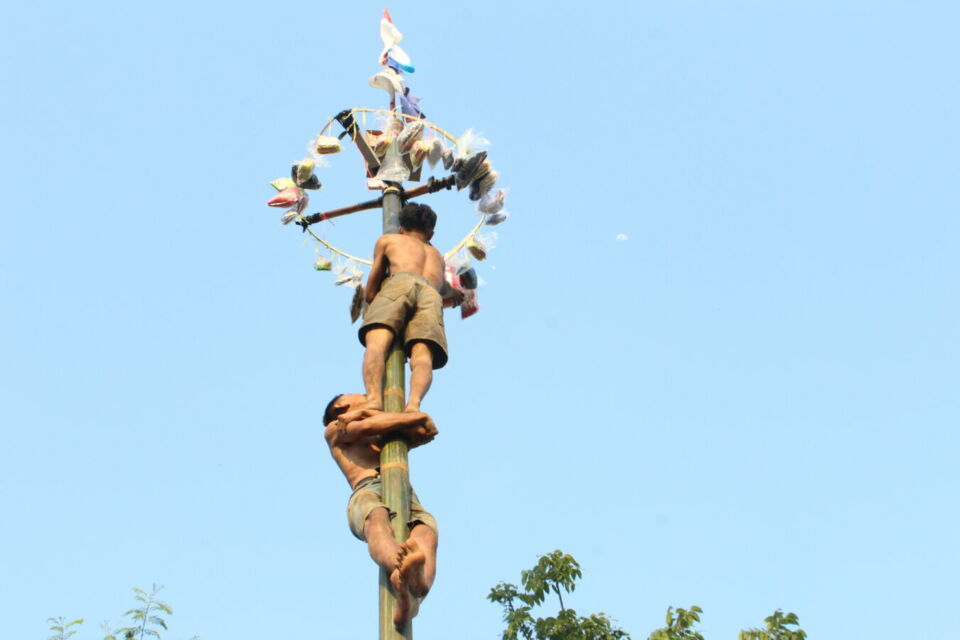 Lomba panjat pinang