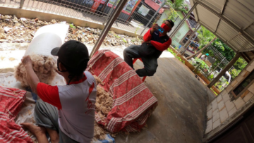 Nostalgia Kenangan Kasur Kapuk: Spring Bed Orang Zaman Dulu. Sekarang Ada yang Masih Pakai?