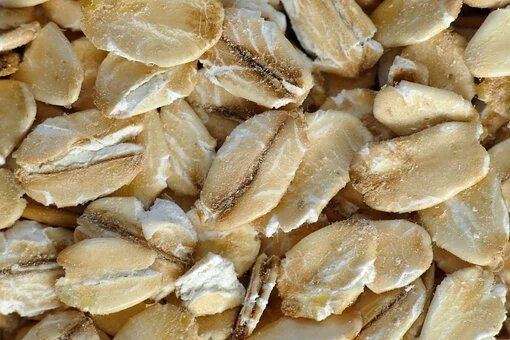 8 Bahan Alami untuk Redakan Gigitan Semut Rangrang yang Bikin Kulit Melepuh. Lumayan Ampuh!