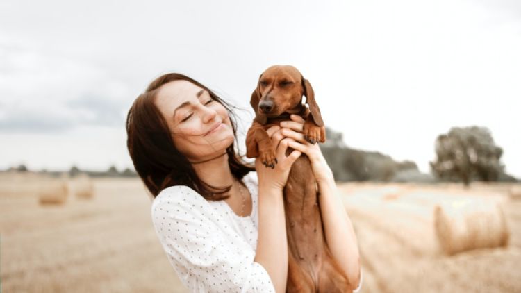 5 Rekomendasi Kado Natal untuk Anjing Kesayangan Kamu. Pasti Berkesan dan Disukai!