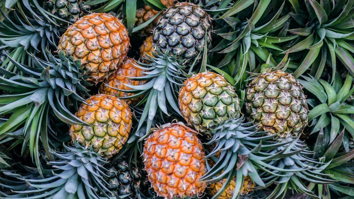 buah nanas untuk diet