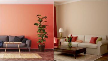 7 Warna Cat Rumah Minimalis untuk Ruang Keluarga. Tone Warnanya Hangat, Bikin Keluarga Makin Akrab