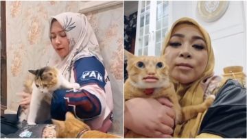 Menyesal Beli Kucing Impor, Melly Goeslaw Sadar Jika itu Adalah Cara Adopsi yang Salah