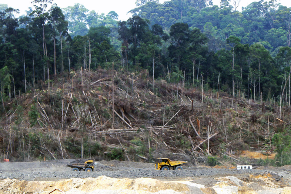 Tak Hanya Curah Hujan Seperti Kata Pemerintah, Banjir di Kalimantan Selatan Juga Dipicu Oleh Alih Fungsi Lahan