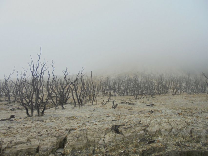 5 Gunung Pilihan Fiersa Besari untuk Kamu yang Baru Pertama Kali Mendaki. Jalurnya Relatif Mudah, Pemandangannya Indah
