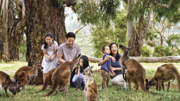 10 Foto Gemas Hewan Unik Australia yang Bikin Kamu Nggak Sabar Meluk Mereka. Cute!