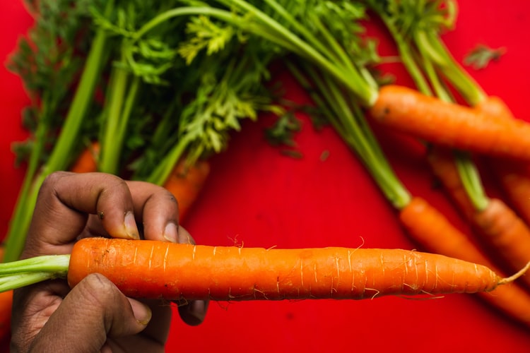 Konsumsi 7 Makanan yang Mengandung Vitamin Mata ini, Penglihatan Jernih Sampai Tua Nanti