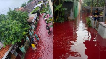 Jawa Tengah Diguyur Hujan Lebat, Banjir Warna Merah di Pekalongan Jadi Sorotan. Apa Pemicunya?