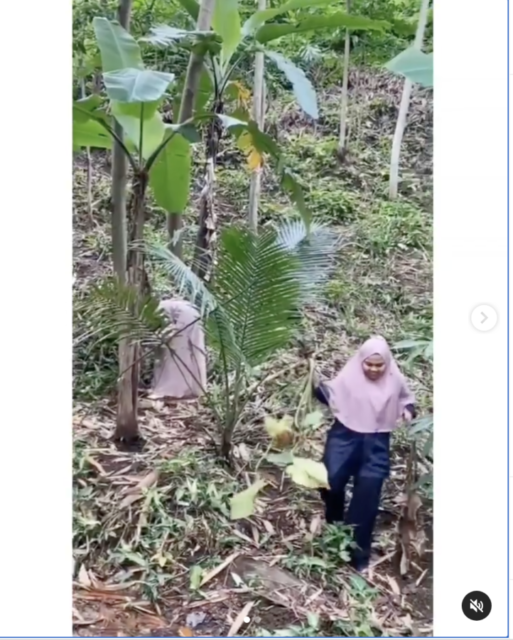 Geng Ibu-Ibu Viral Berburu Bunga Sampai ke Makam. Demam Tanaman Hias Memang Bisa Separah itu, ya :D