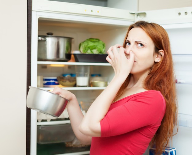 10 Manfaat ini Bikin Teh Celup Bekas Sayang Kalau Dibuang. Baik buat Tanaman Hingga Kecantikan