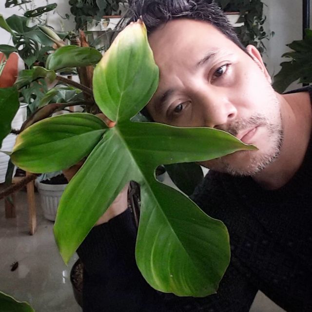 8 Artis yang Ikut Kena 