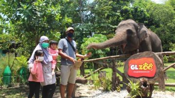 Intip Keseruan Wisata Keluarga di Gembira Loka Zoo. Banyak Atraksi Satwa juga, lo!