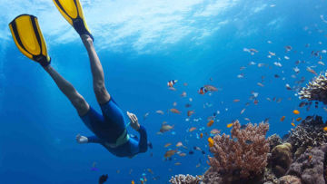 #WisataFilipina-Freediving di Pulau Palawan, Cocok untuk Freediver Pemula.