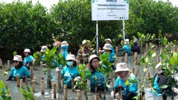 Menengok Komitmen dan Pencapaian Allianz Indonesia dalam Menjalankan Bisnis Secara Berkelanjutan