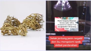 Menyebabkan Pendarahan Hingga Rahim Robek, Kenali Rumput Fatimah Lebih Dalam, Yuk!