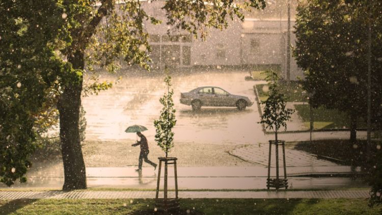 Tips Berteduh saat Hujan untuk Berbagai Situasi, Ada Aturan 30/30 yang Wajib Kamu Tahu