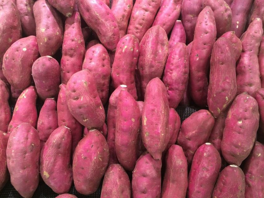 Daftar 11 Pewarna Makanan Alami yang Efektif, Agar Hasil Masakanmu Lebih Memikat dan Sehat 24 Daftar 11 Pewarna Makanan Alami yang Efektif, Agar Hasil Masakanmu Lebih Memikat dan Sehat