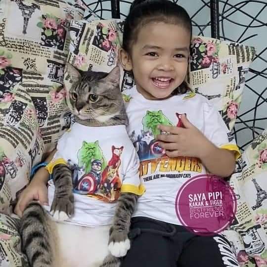 Viral Warganet Beli Kucing agar Anaknya Nggak Main HP Terus, Ujung-ujungnya Malah Main Gadget Bareng
