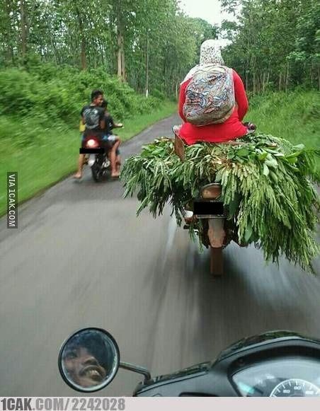 Ngaku Kalau Jenis Motormu Paling Enak buat Boncengan? Pasti Belum Pernah Lihat Foto-Foto ini~
