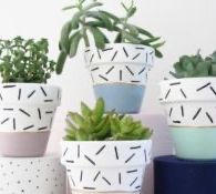 5 Bahan yang Sering Kamu Buang Ini Bisa Suburkan Tanaman Kamu