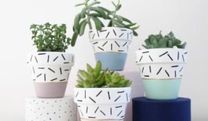 5 Bahan yang Sering Kamu Buang Ini Bisa Suburkan Tanaman Kamu