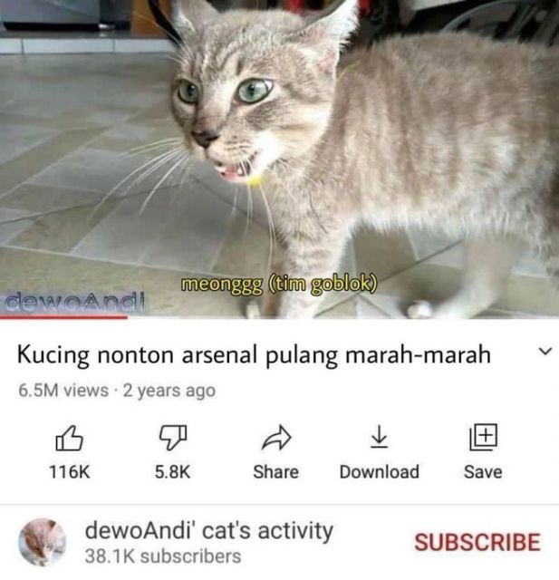 Masih Ingat Tentang Kucing yang Minggat 3 Hari Pulang Marah-Marah? Inilah Deretan Meme Kocaknya~