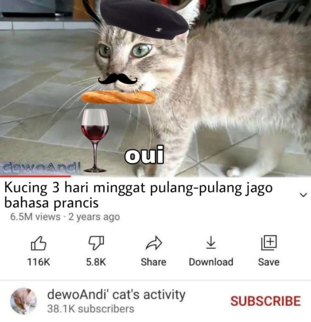 Masih Ingat Tentang Kucing yang Minggat 3 Hari Pulang Marah-Marah? Inilah Deretan Meme Kocaknya~