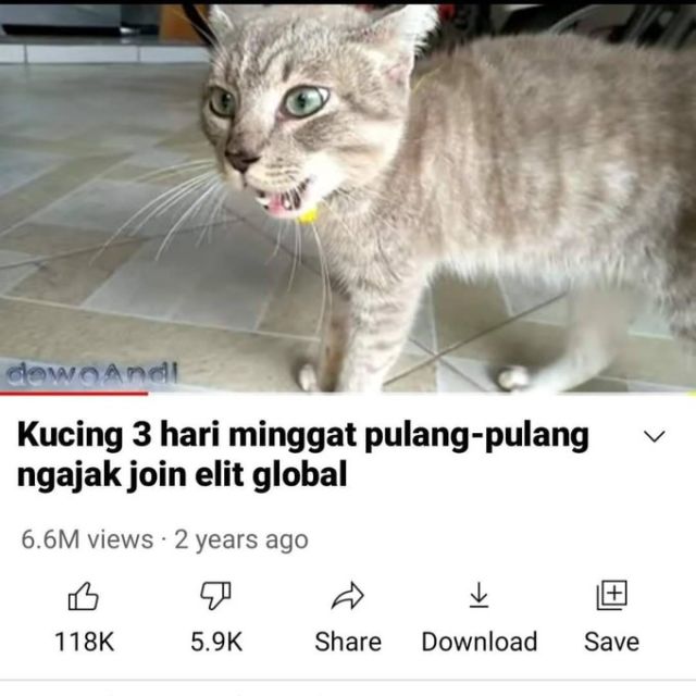Masih Ingat Tentang Kucing yang Minggat 3 Hari Pulang Marah-Marah? Inilah Deretan Meme Kocaknya~