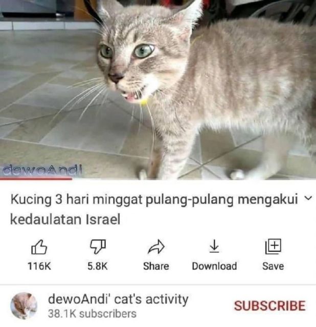 Masih Ingat Tentang Kucing yang Minggat 3 Hari Pulang Marah-Marah? Inilah Deretan Meme Kocaknya~