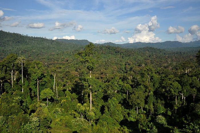 Situs Warisan Dunia UNESCO