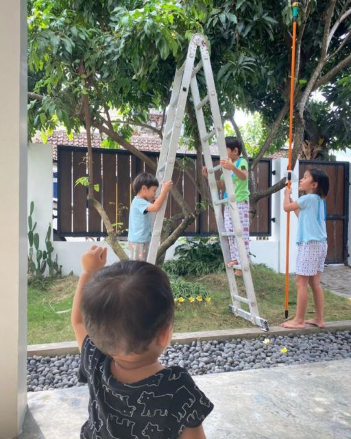 Ingin Menikmati Suasana Tenang dan Asri, 9 Artis ini Miliki Rumah yang Jauh dari Perkotaan