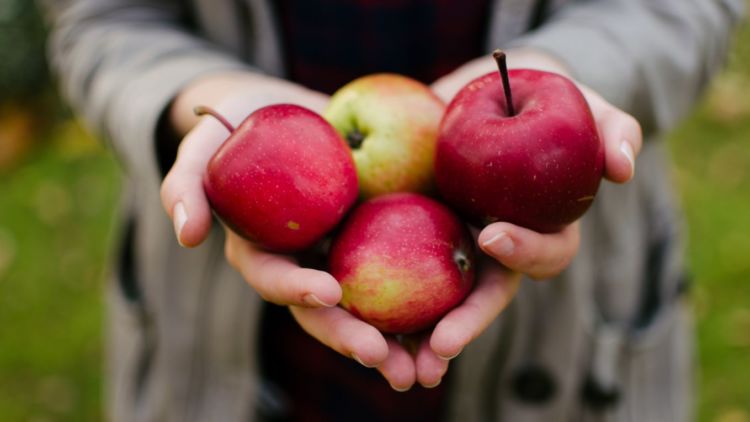 6 Resep Kreasi Makanan dari Buah Apel yang Bisa Kamu Buat Dengan Mudah di Rumah atau Kost-Kostan