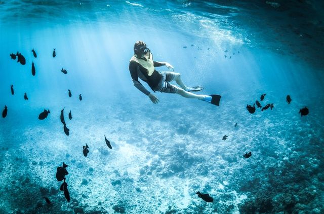 Logam Berat Mengancam Kehidupan Ikan? Yuk Simak Penjelasannya!