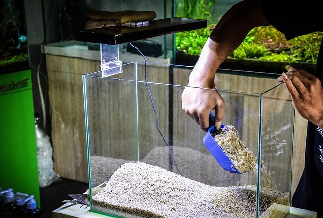 cara membuat aquascape pasir silika