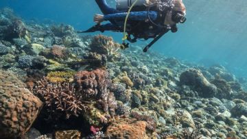 #DestinasiHipwee – Bersantai di Pantai sampai Menikmati Fenomena Langka di Indonesia, Ini Dia 5 Destinasi Ekowisata yang Harus Banget Kamu Kunjungi!
