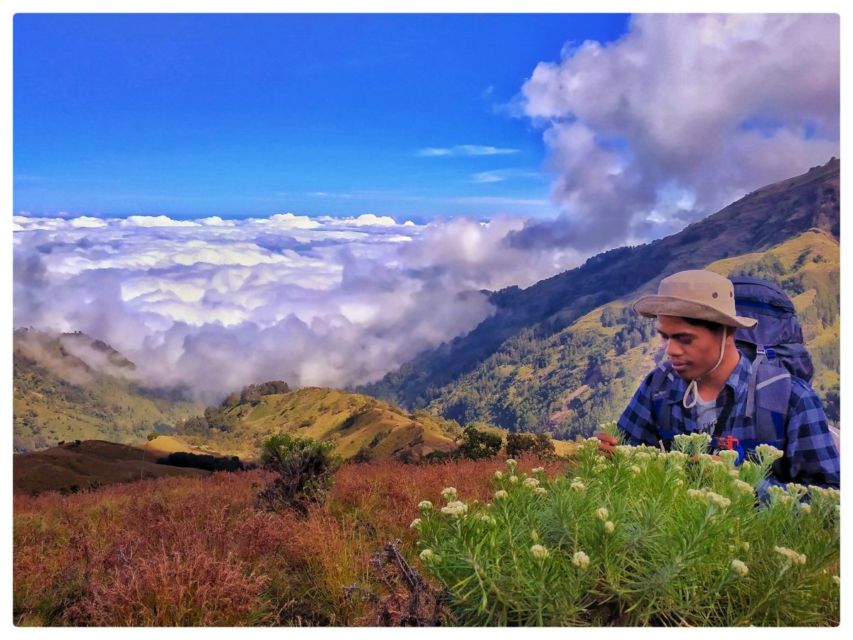 Petik Edelweis di Taman Nasional Gunung Rinjani, Sepasang Wisatawan di-Blacklist Selama Dua Tahun