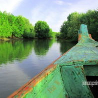 #DestinasiHipwee-Cerita Pesona Muara Gembong yang Terselip di Ujung Bekasi