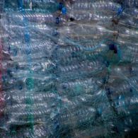 Pandemi Membawa Berkah! Diet Plastik di Indonesia Berhasil