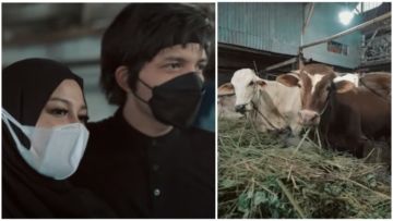 Jelang Kurban, Atta-Aurel Borong Satu Kandang Sapi dan 23 Ekor Kambing. Ada Alasan Tersendiri