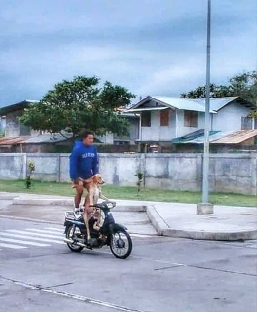 11 Potret Absurd Bapak-Bapak dengan Binatang Kesayangannya. Jangan Sampai Bapakmu Begini!