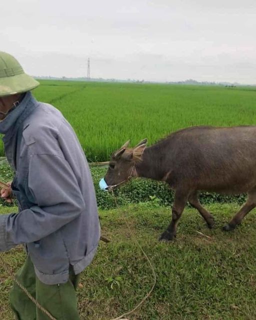 11 Potret Absurd Bapak-Bapak dengan Binatang Kesayangannya. Jangan Sampai Bapakmu Begini!