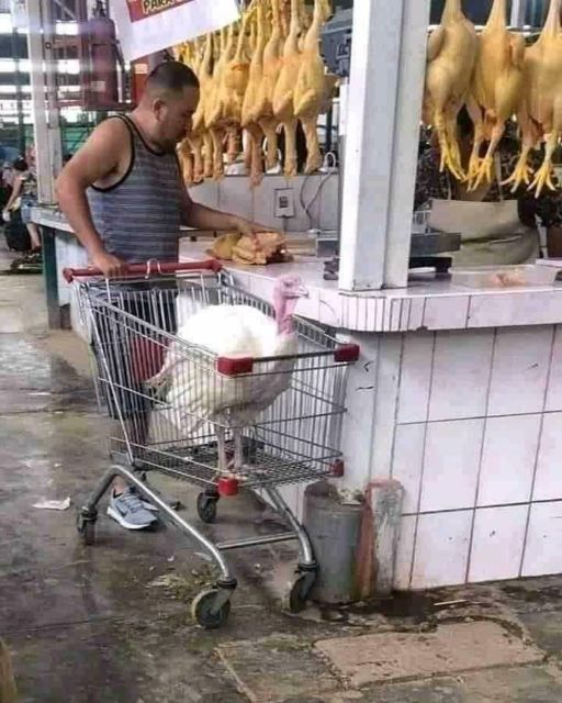 11 Potret Absurd Bapak-Bapak dengan Binatang Kesayangannya. Jangan Sampai Bapakmu Begini!