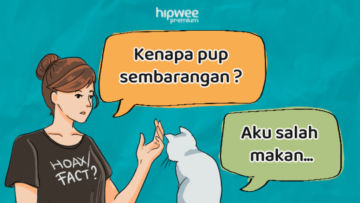 Memahami Perasaan Hewanmu Tanpa Bicara Lewat Jasa Animal Communicator