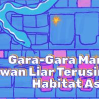 Mirisnya Kemunculan Hewan Liar di Pemukiman. Tanda Bumi Sedang Tak Baik-Baik Saja