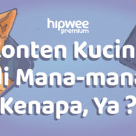 Konten Kucing Selalu Meluluhkan Hati di Dunia Maya. Kok Bisa Ya Manusia Tergila-gila?