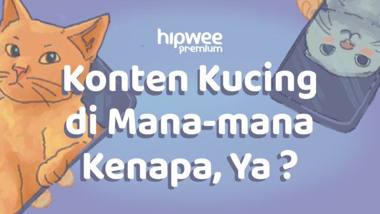 Konten Kucing Selalu Meluluhkan Hati di Dunia Maya. Kok Bisa Ya Manusia Tergila-gila?