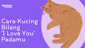 Gestur Kucing yang Berarti ‘I Love You’. Tandanya Dia Sayang Kamu