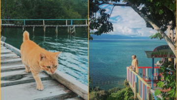 Nggak Cuma Jepang, Indonesia Ternyata Juga Punya Pulau Kucing di Kepulauan Sula Maluku Utara