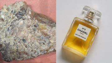 5 Bahan Termahal untuk Pembuatan Parfum. Semahal itu, Ada Alasannya!